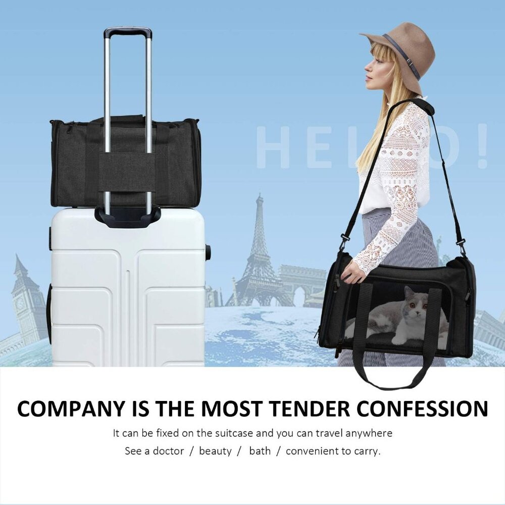Cat Carriers Dog Carrier Pet Carrier for Small Medium Cats Dogs ~BRAND NEW - Picture 8 of 8